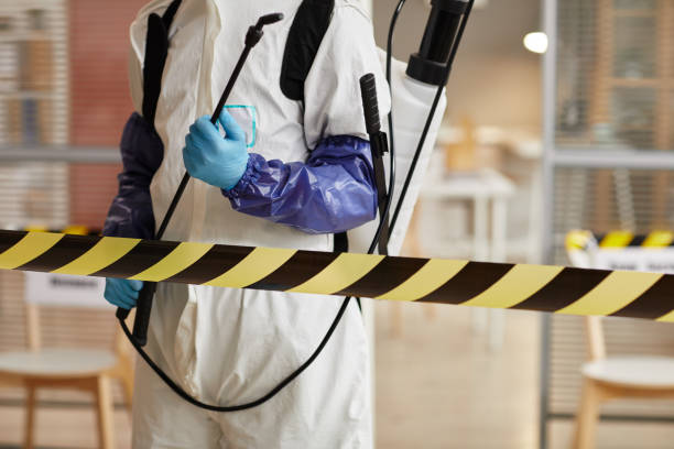 Professional Sewage Cleanup technician working in Bridgeport, WA